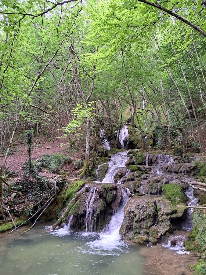 El suave manto de Belleku
