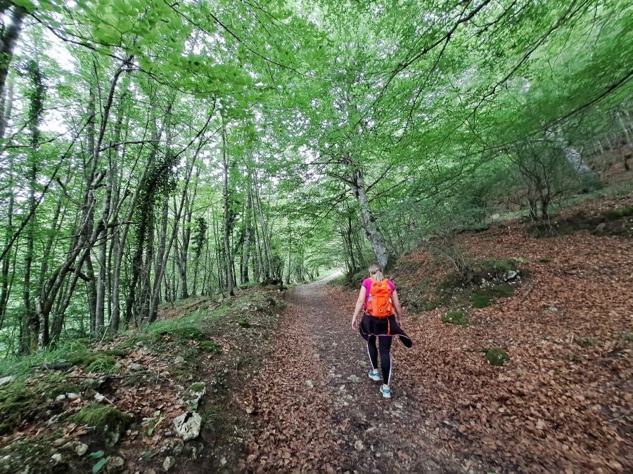 El suave manto de Belleku