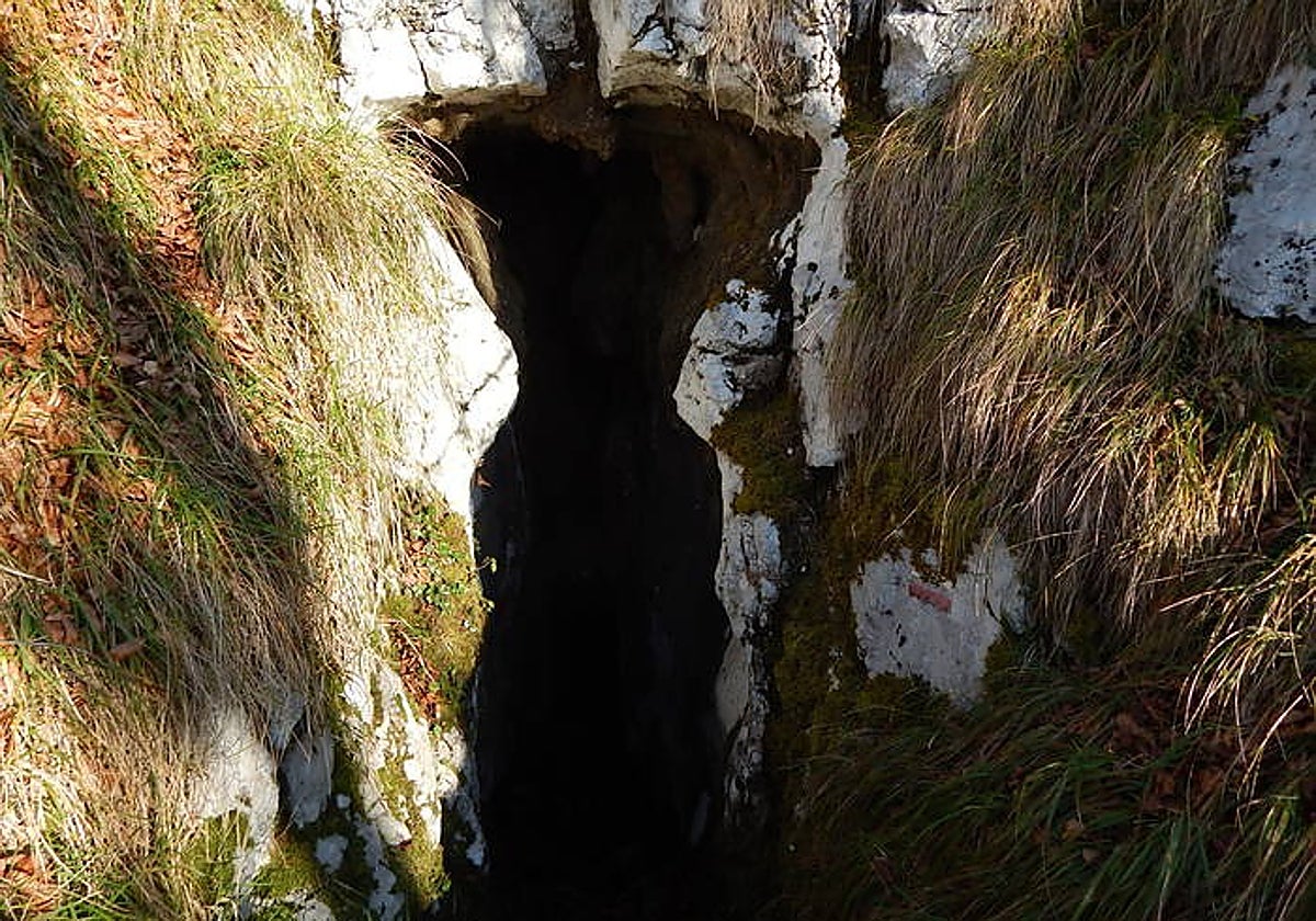 Sarastarriko koba da lareo inguruan aurkitxen den bat