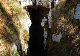 Sarastarriko koba da lareo inguruan aurkitxen den bat