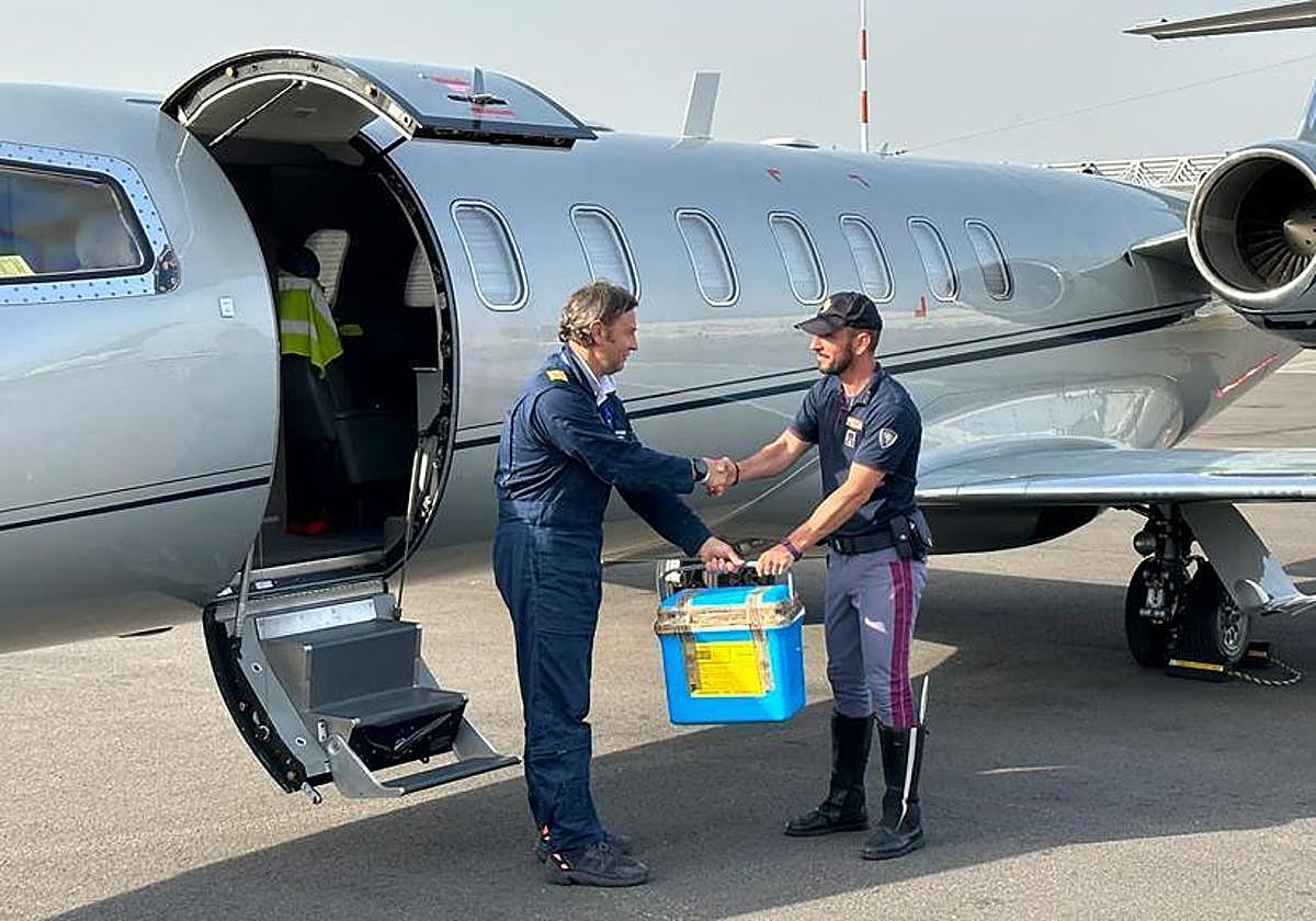El riñón extraído a la mujer en el Hospital de Cruces llega a Padua.