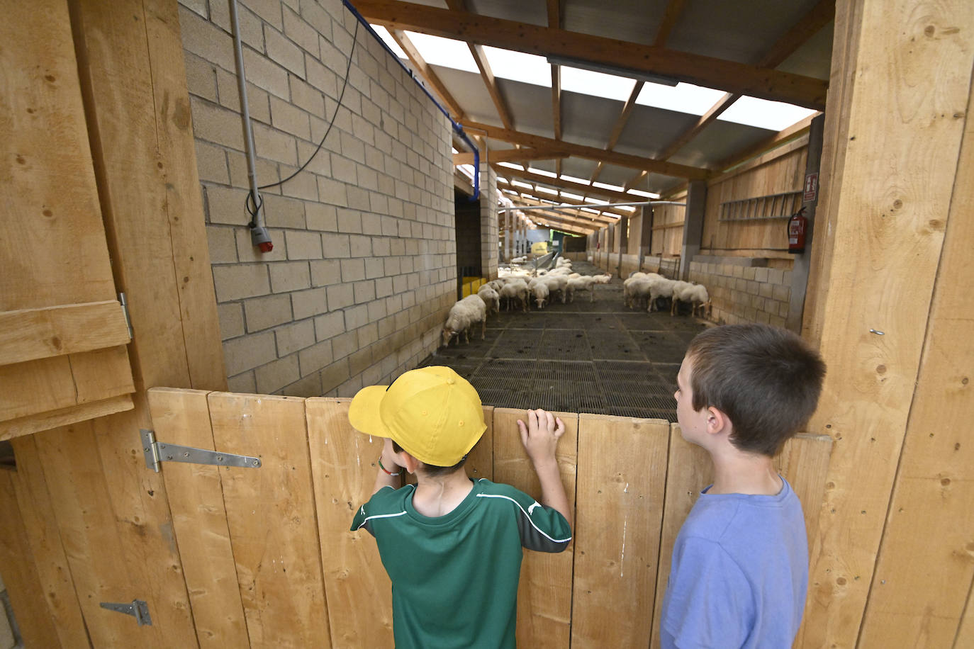 Visita guiada a Primo Etxeberria