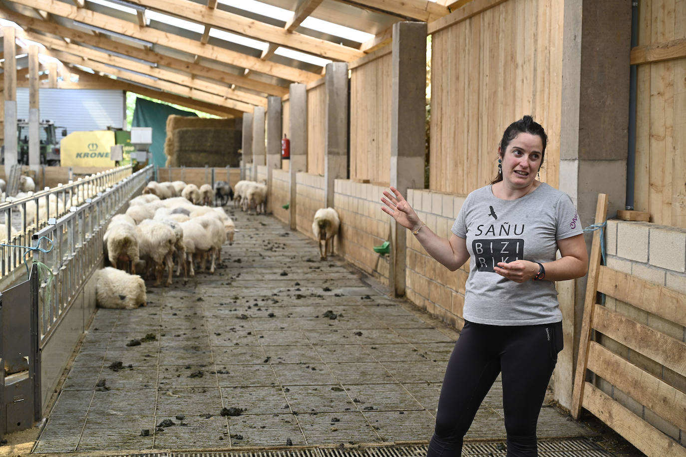 Visita guiada a Primo Etxeberria
