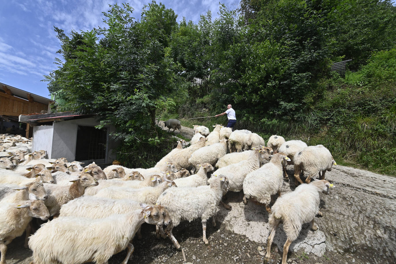 Visita guiada a Primo Etxeberria