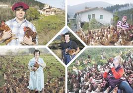 Gallinas criadas al aire libre. El bienestar de la gallina no es negociable y eso marca la diferencia en Euskaber.