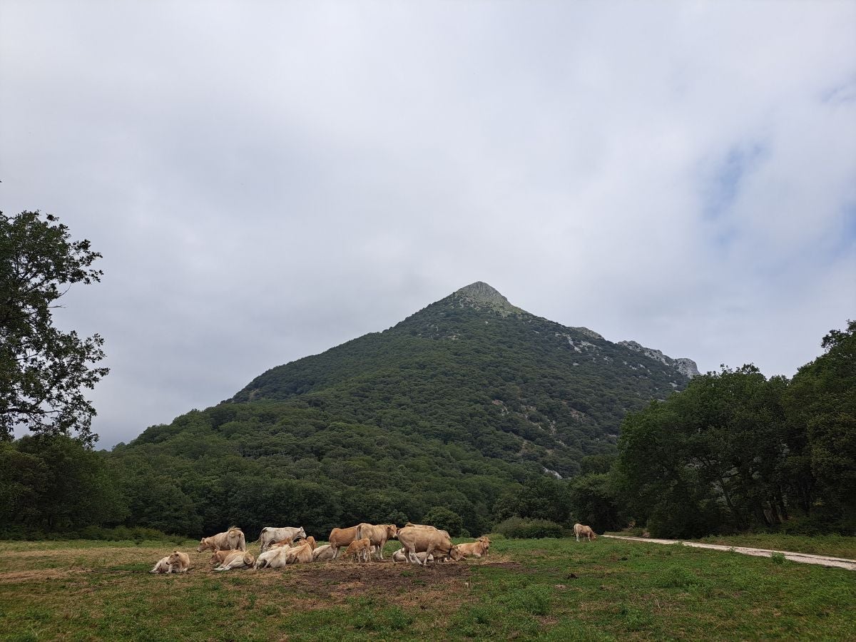 Exigente subida a Txurregi