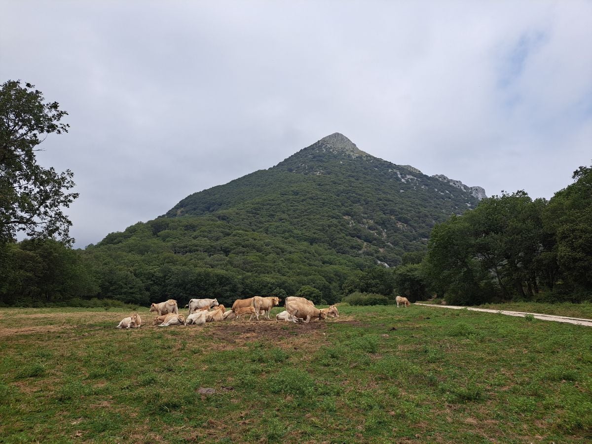 Exigente subida a Txurregi