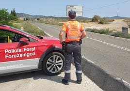 Control de la Policía Foral cerca de Carcastillo.