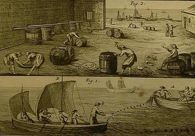 Pesca y salazón de sardina.