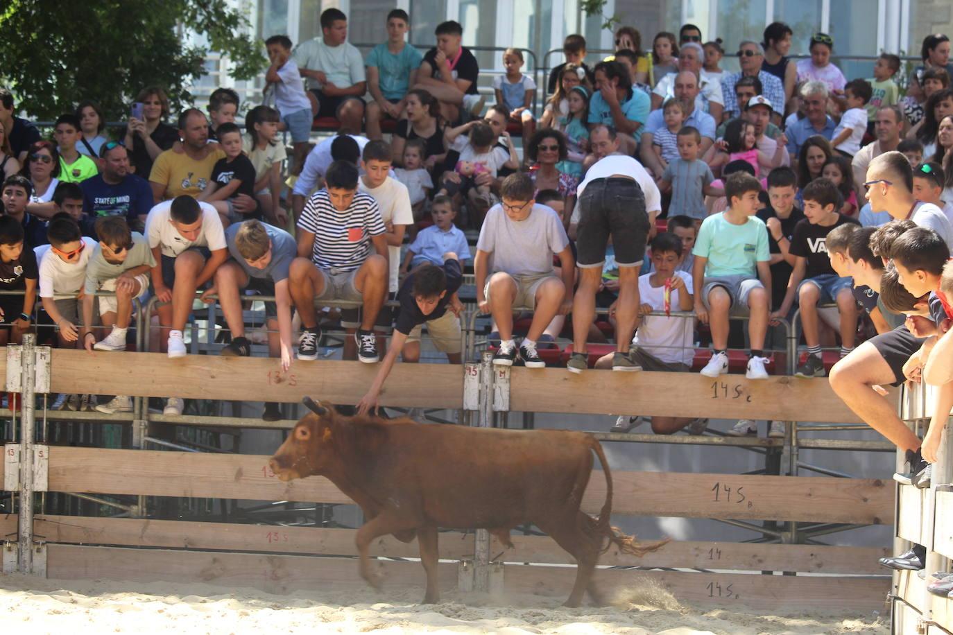 Solemnidad en el día de San Ignacio