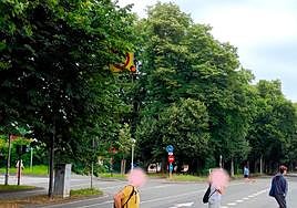 Señales para adivinos