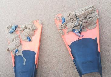 Fotos: Nueva oleada de 'carabelas portuguesas'