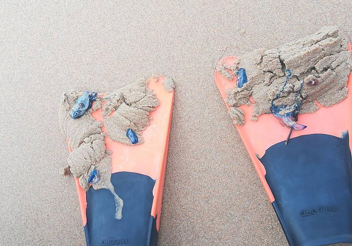 Nueva oleada de &#039;carabelas portuguesas&#039;