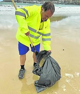 Imagen secundaria 2 - Las &#039;carabelas portuguesas&#039; ya se reproducen en aguas cercanas