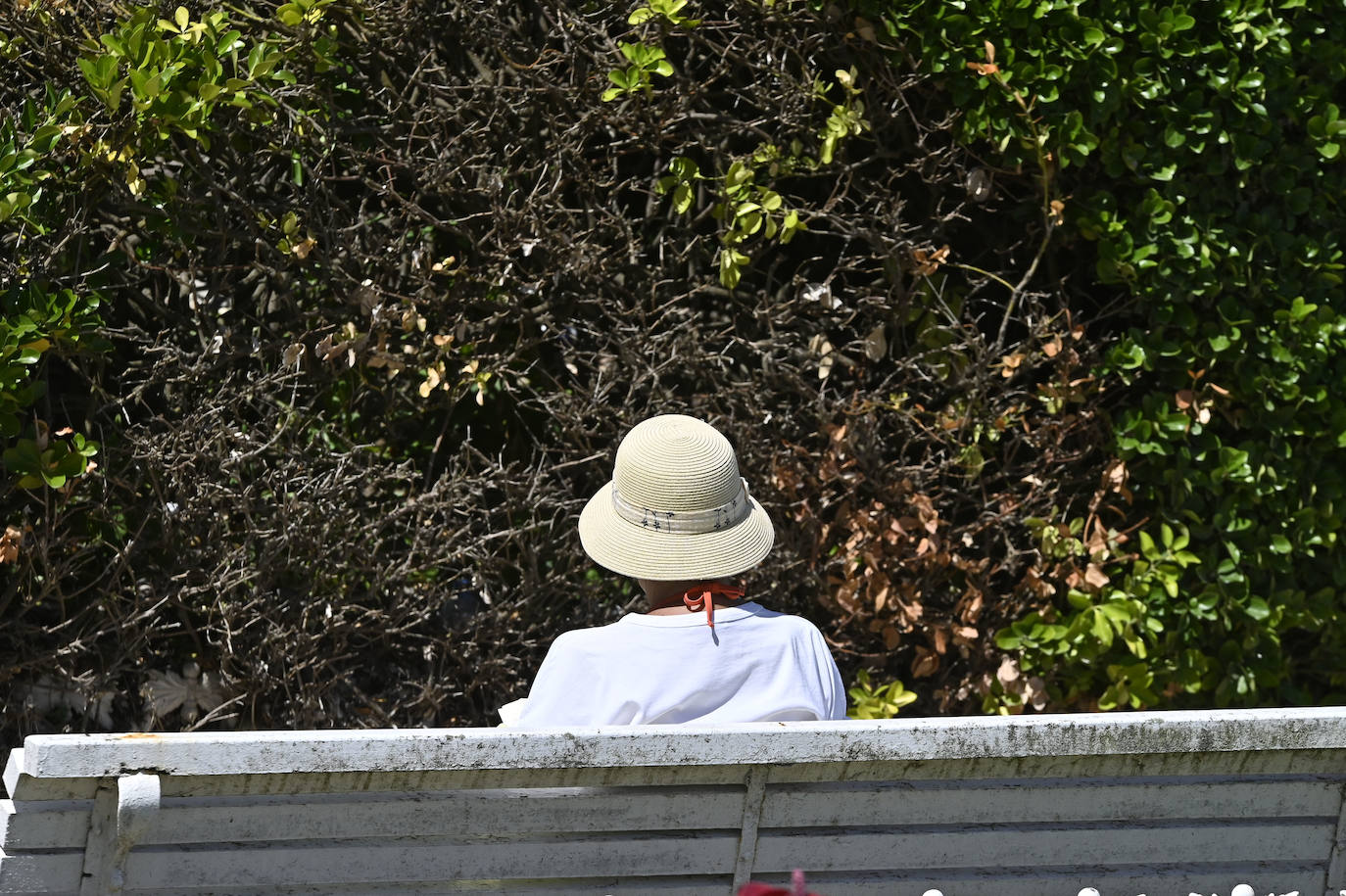 Jornada soleada en las playas guipuzcoanas