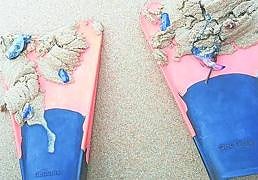 La 'velella velella', una especie inofensiva que también se ha detectado