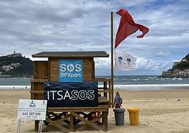 Una picadura de 'carabela portuguesa' obliga a prohibir el baño en La Concha.