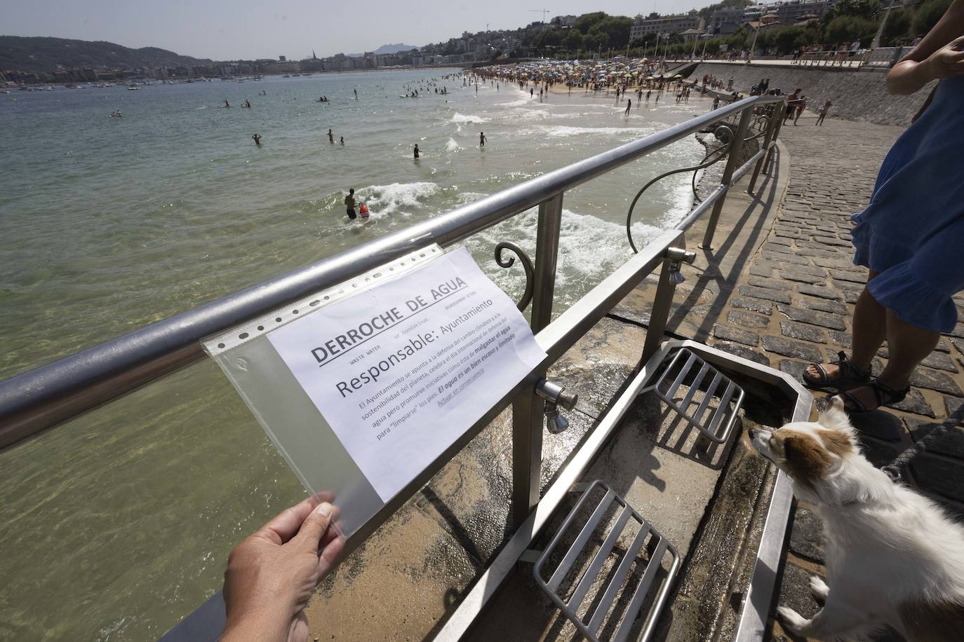 Los chapuzones y la sombra, los mejores aliados para evitar el sofoco