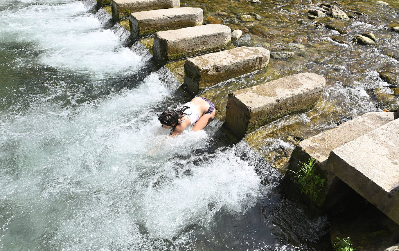 Los chapuzones y la sombra, los mejores aliados para evitar el sofoco