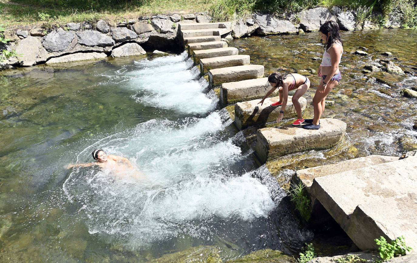 Los chapuzones y la sombra, los mejores aliados para evitar el sofoco