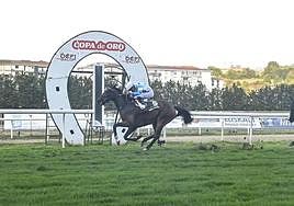 Imagen de la Copa de Oro de 2022.