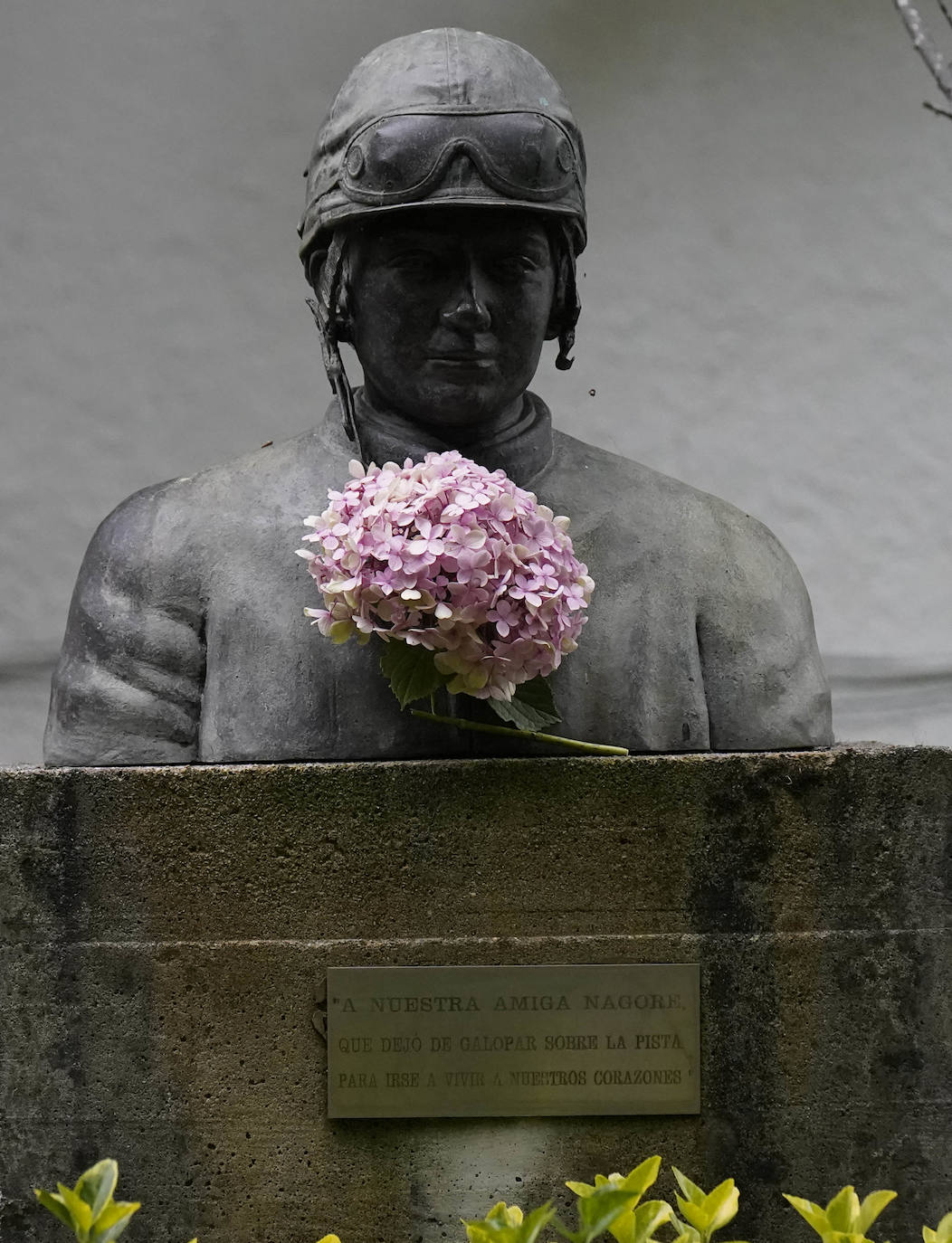 Una Copa de Oro llena de prestigio