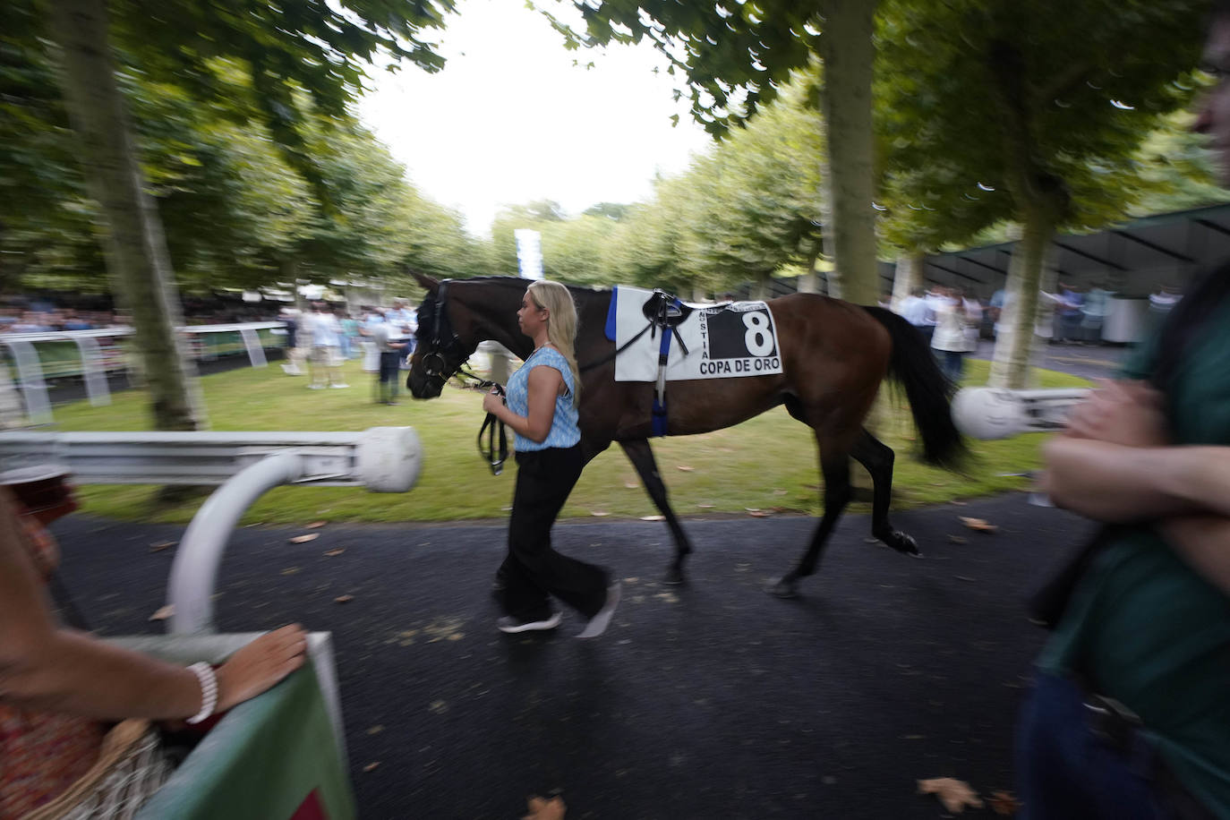 Una Copa de Oro llena de prestigio