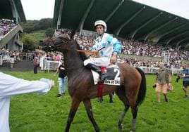 'Il Decamerone', con la monta del portugués Ricardo Sousa, tras imponerse en la Copa de Oro por segundo año consecutivo.