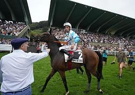 El preparador Óscar Anaya atiende a 'Il Decamerone' y su jinete, Ricardo Sousa, tras ganar por segunda vez la Copa de Oro.