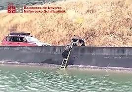 El arriesgado e ingenioso rescate de un enorme jabalí caído en el Canal de Navarra