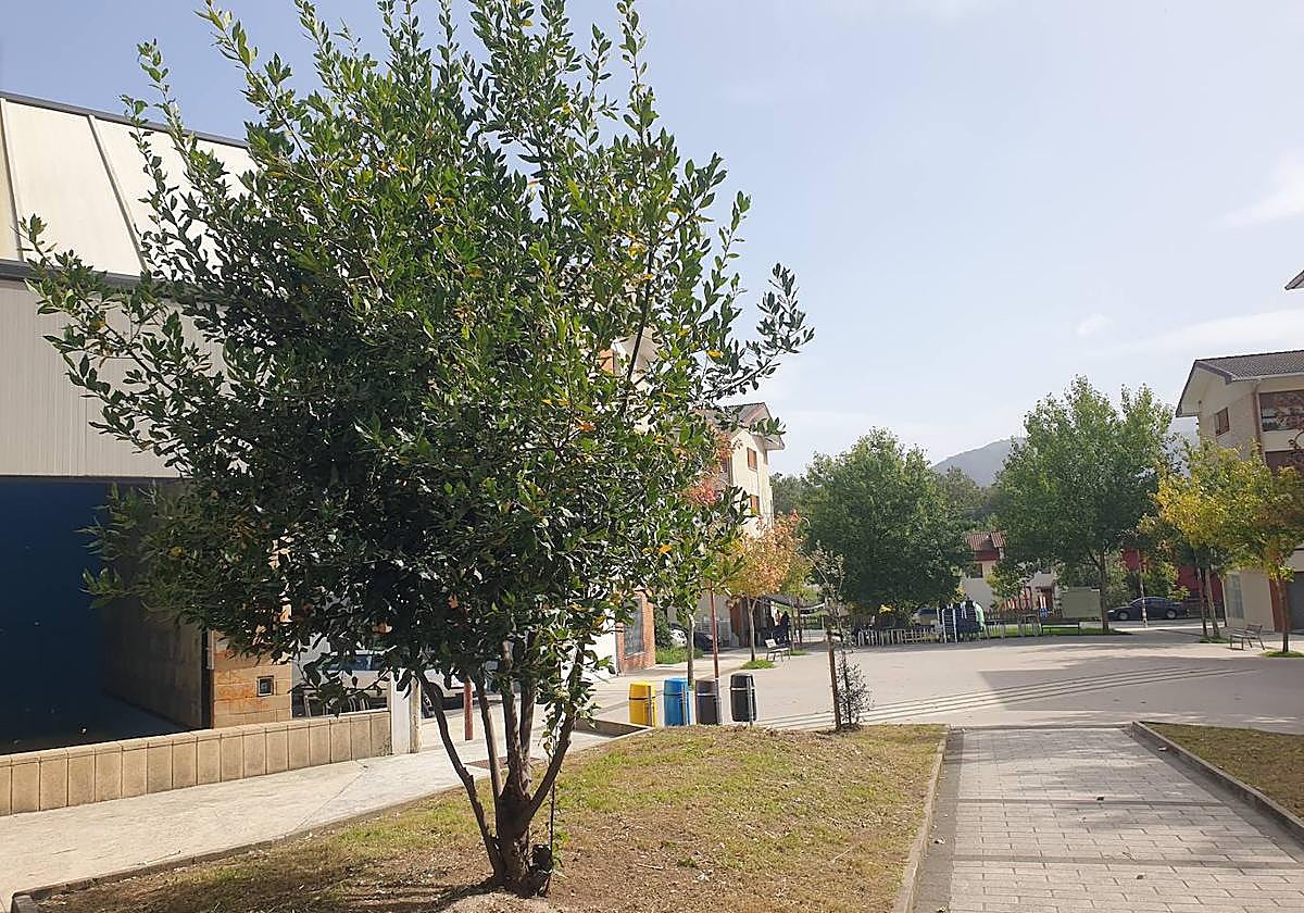 Al parecer, todo sucedió en las inmediaciones del frontón del barrio.