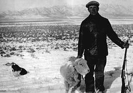 Una mirada literaria a los vascos de EE UU