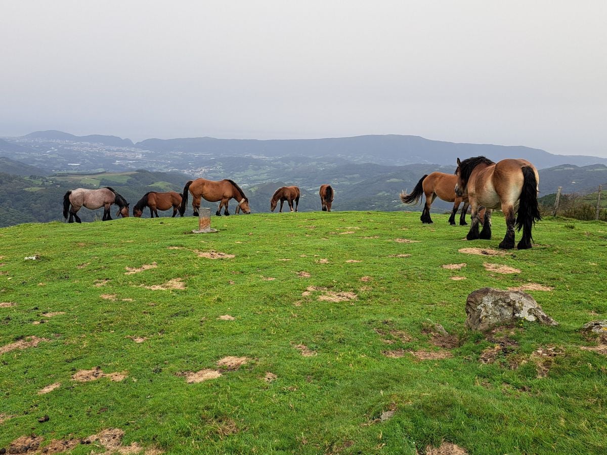 La ruta a la cima de Bianditz, en imágenes