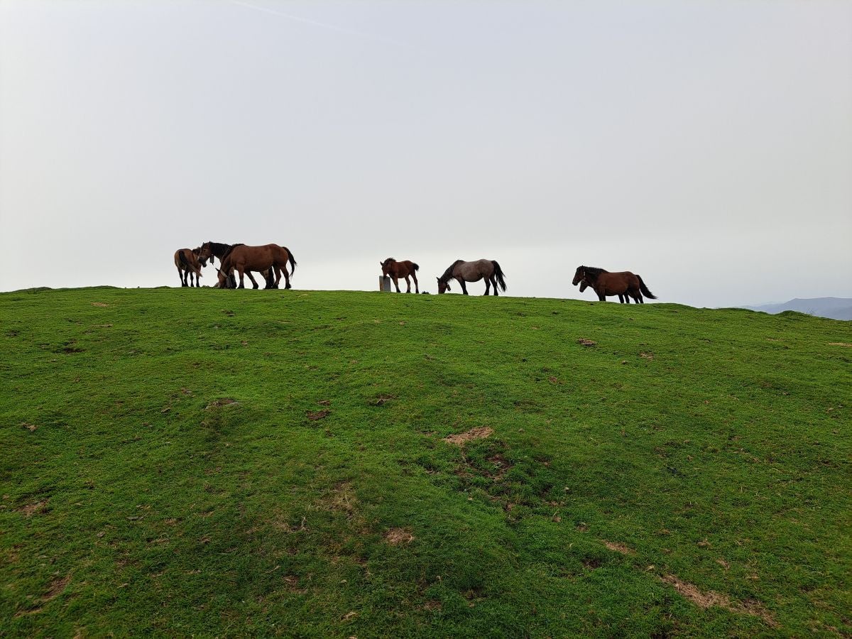 La ruta a la cima de Bianditz, en imágenes