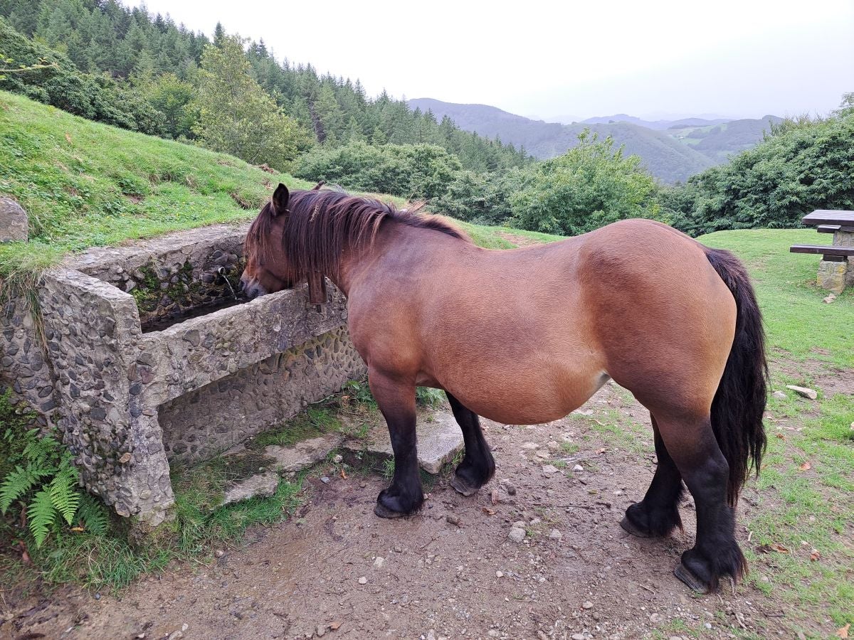 La ruta a la cima de Bianditz, en imágenes