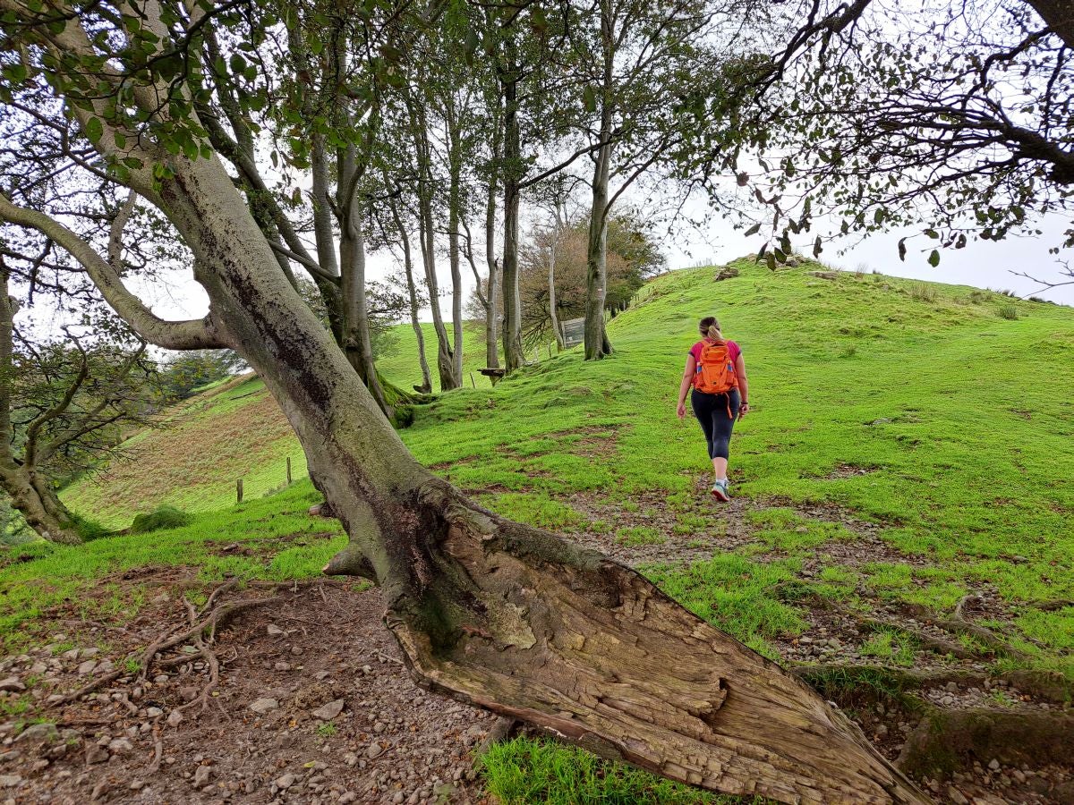 La ruta a la cima de Bianditz, en imágenes