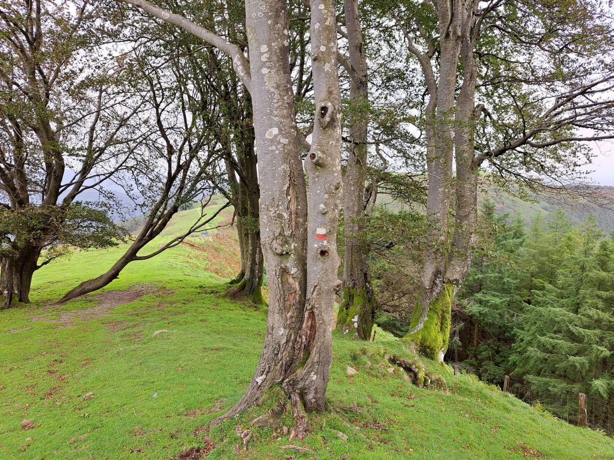 La ruta a la cima de Bianditz, en imágenes