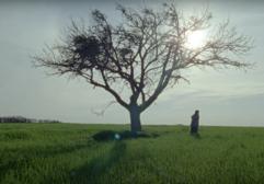 GARSTKA ZIEMI / HANDFUL OF DIRT