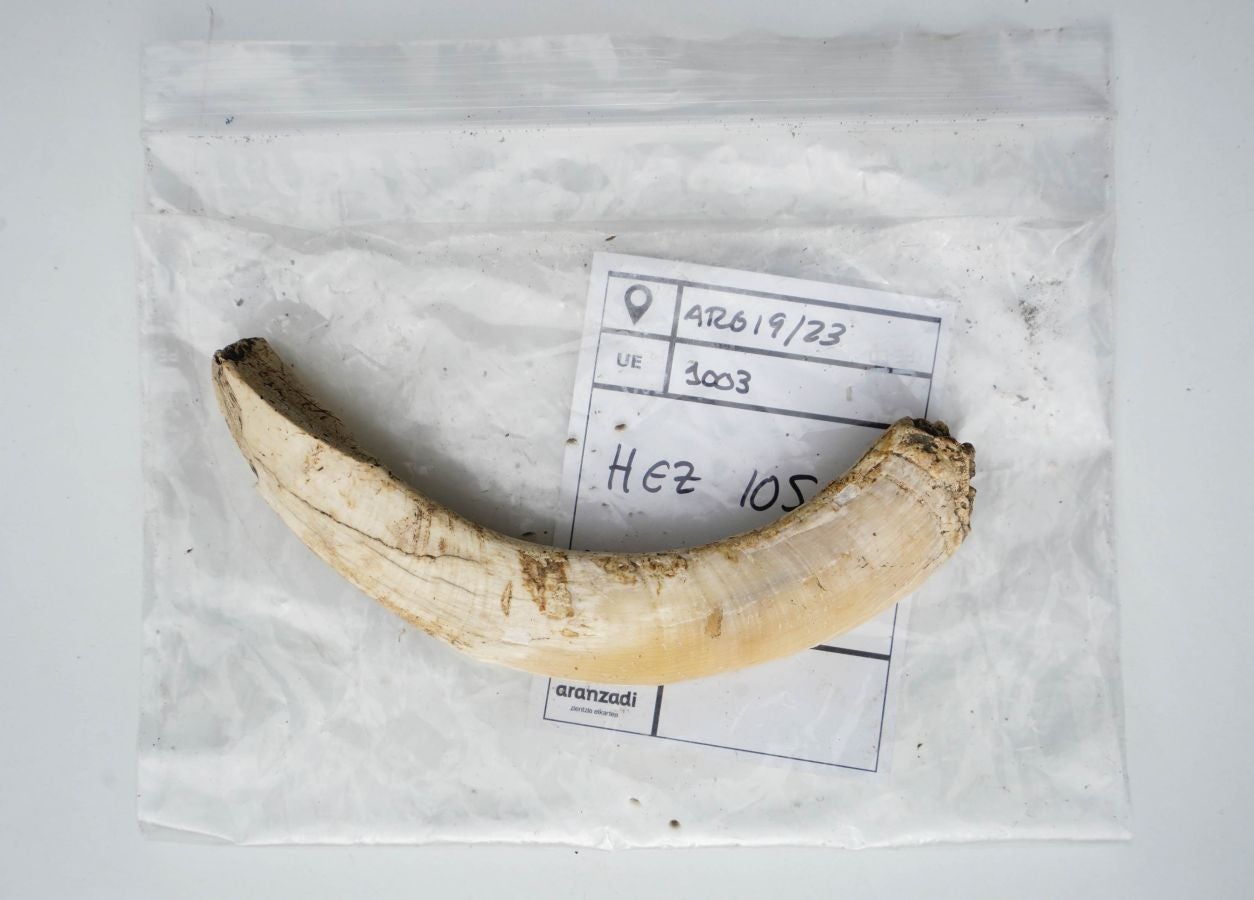 Siguen los hallazgos en Irulegi