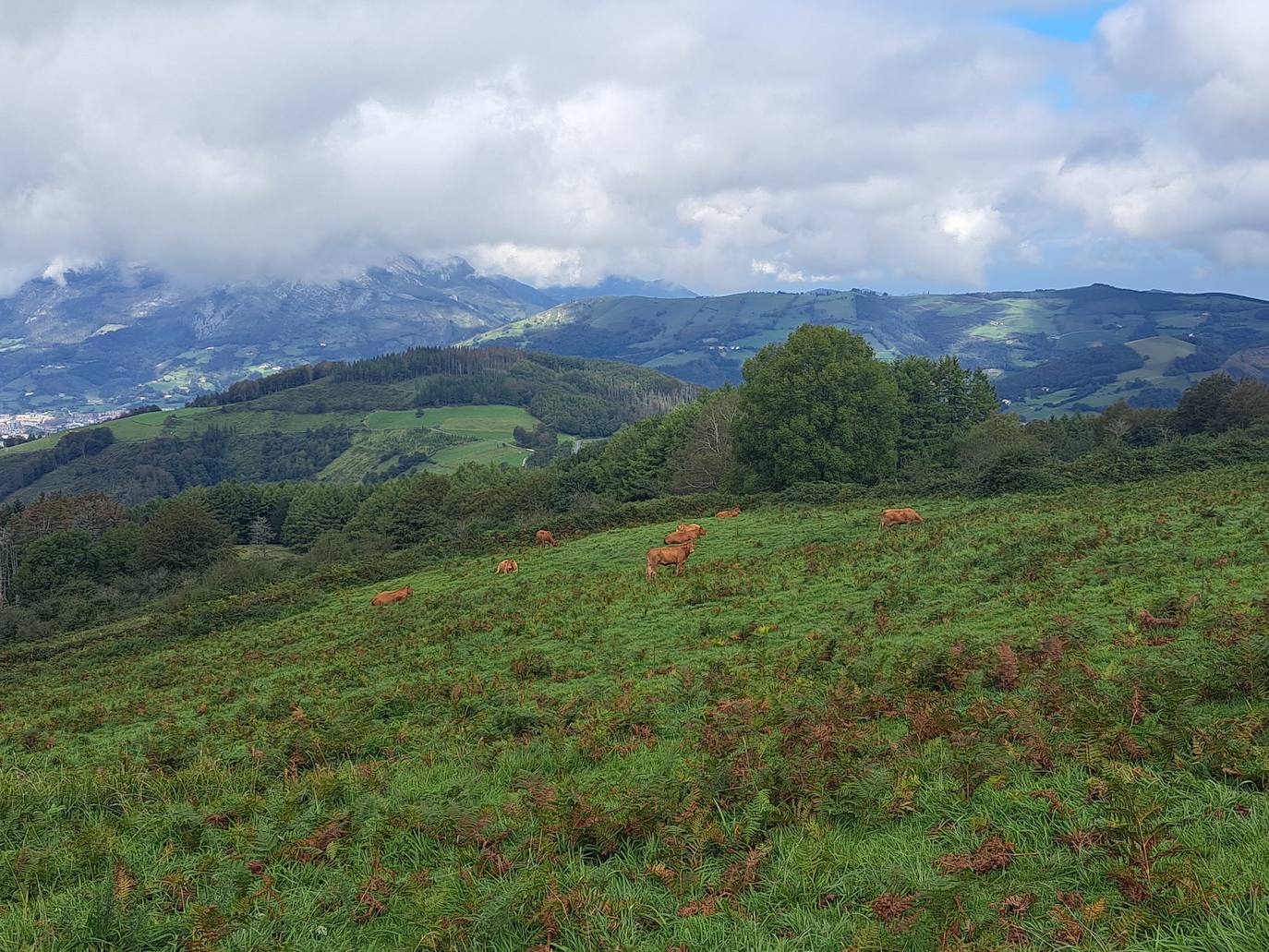 Urraki, un paisaje para disfrutar en Otoño