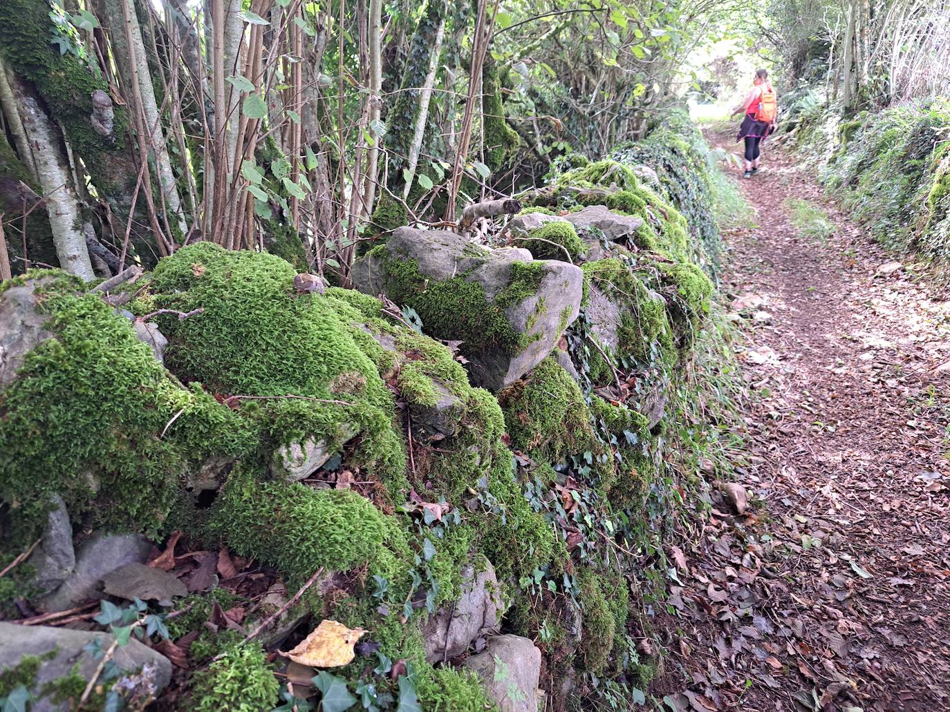 Urraki, un paisaje para disfrutar en Otoño