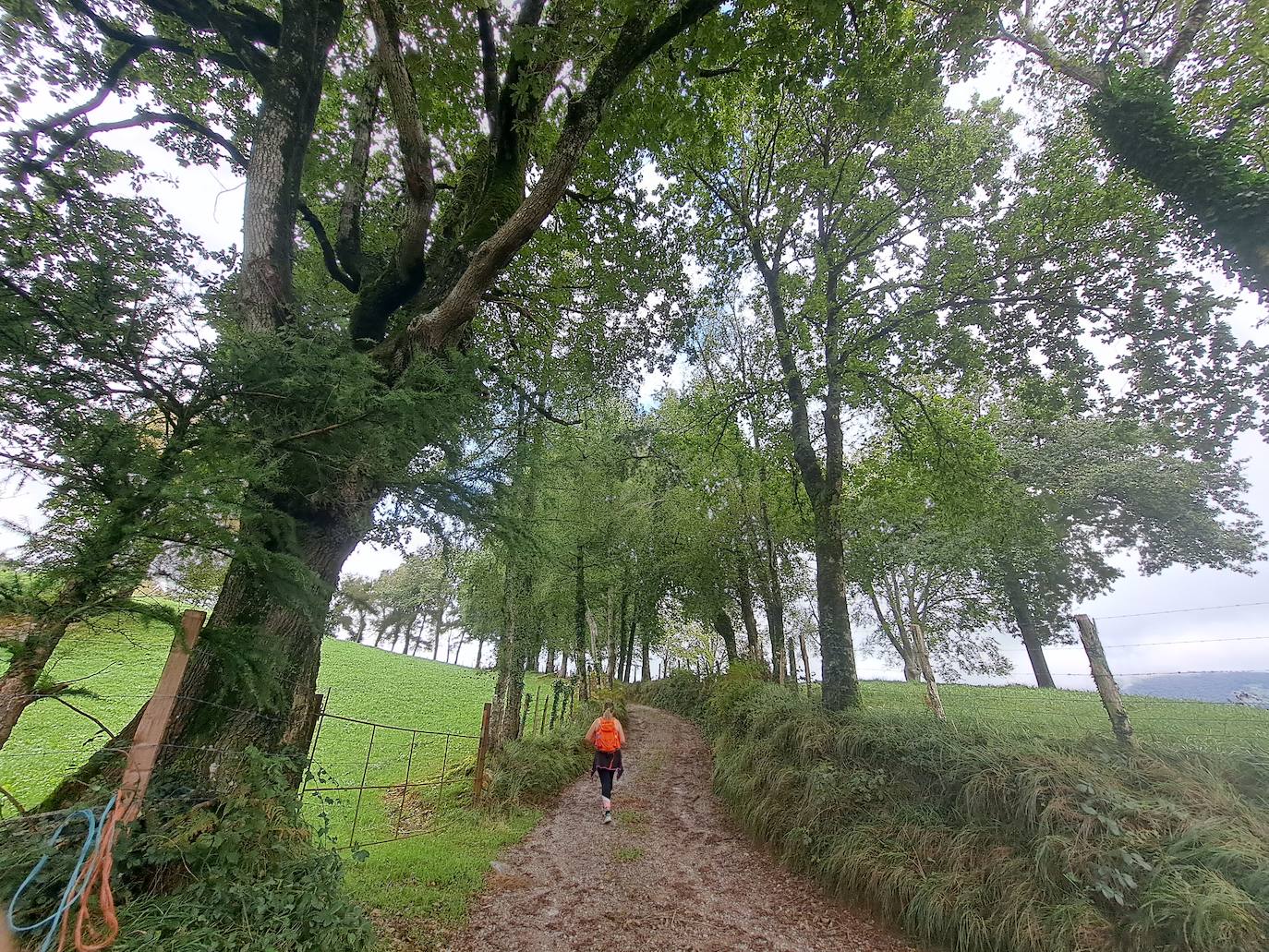 Urraki, un paisaje para disfrutar en Otoño