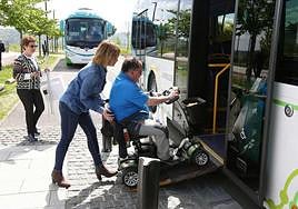 Las familias vascas asumen un gasto anual de 20.000 euros adicionales en la discapacidad