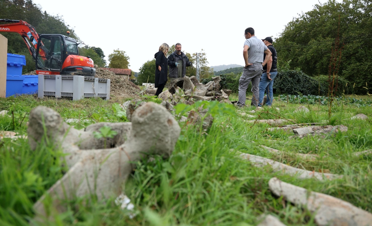 Desentierro del cachalote de Zarautz
