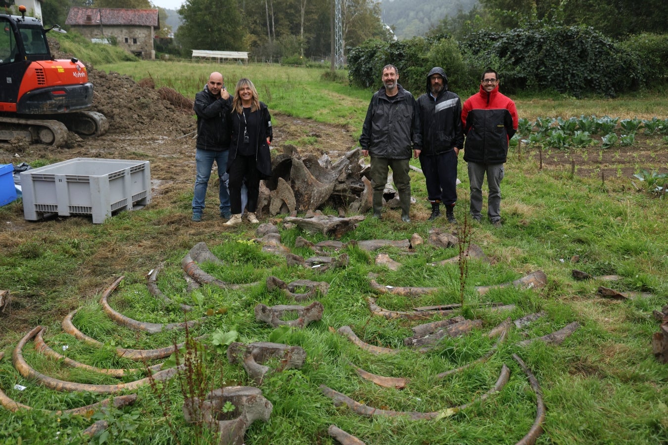 Desentierro del cachalote de Zarautz