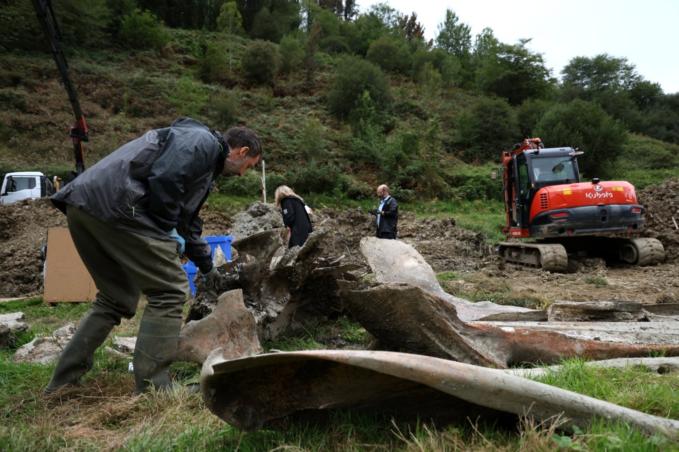 Desentierro del cachalote de Zarautz