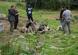 Desentierro del cachalote de Zarautz
