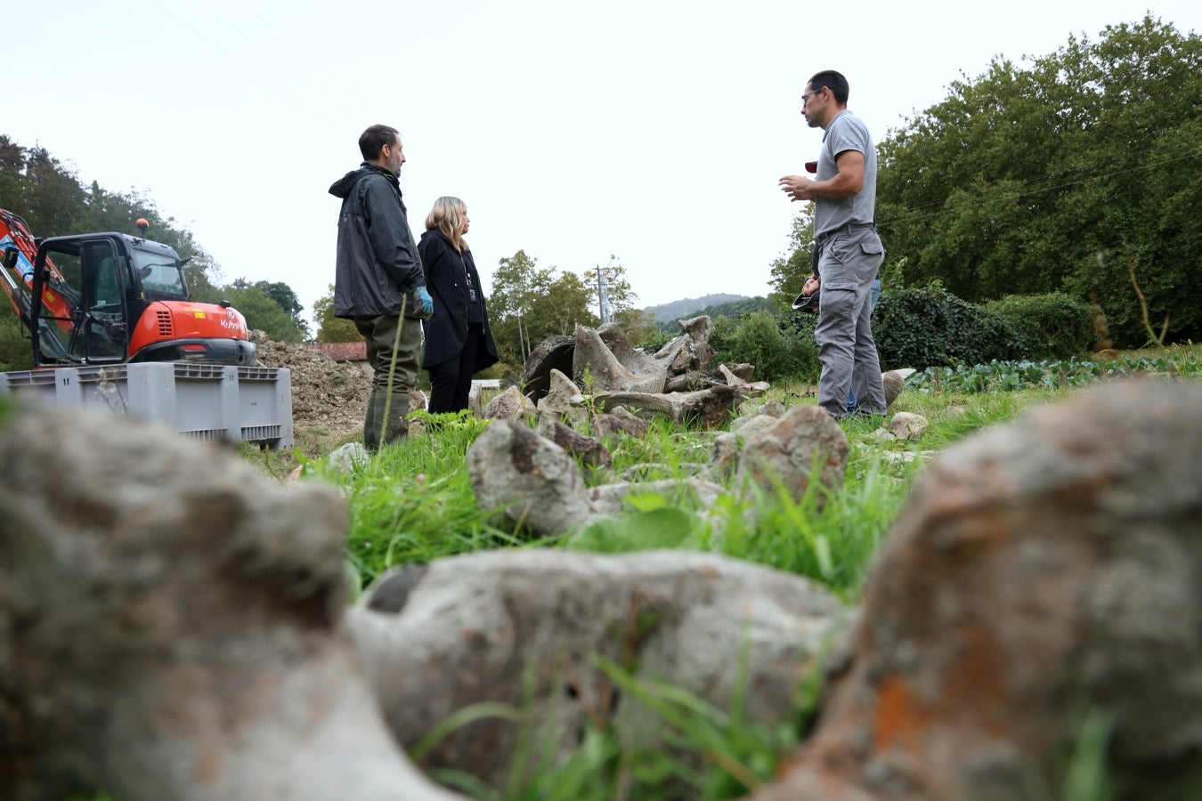 Desentierro del cachalote de Zarautz