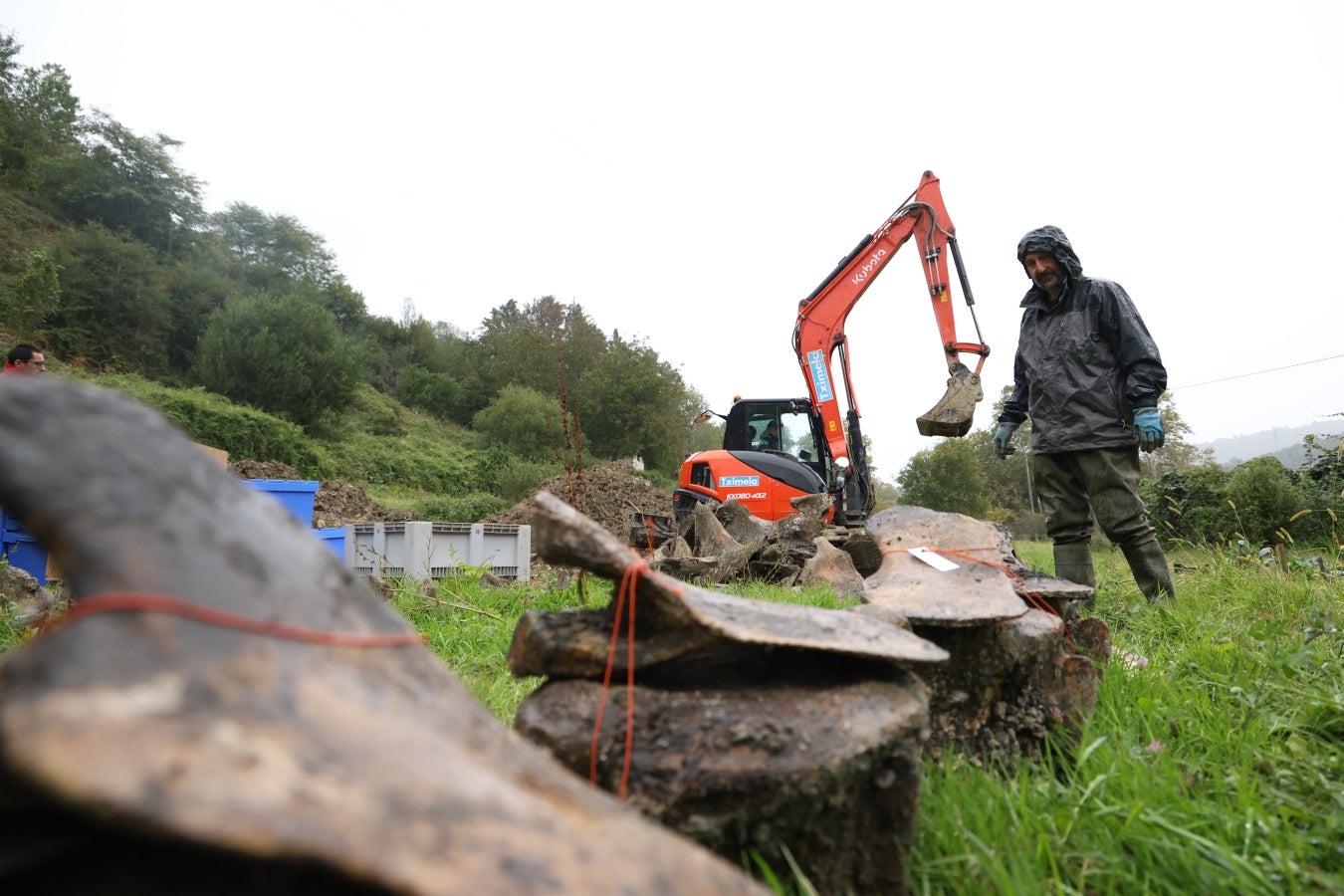 Desentierro del cachalote de Zarautz