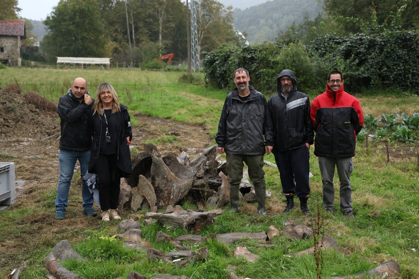 Desentierro del cachalote de Zarautz